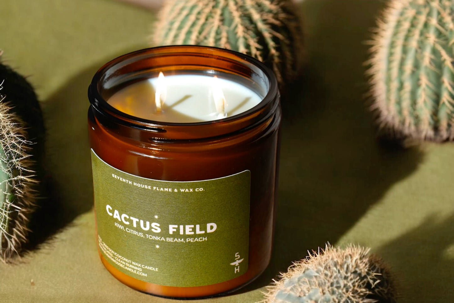 CACTUS FIELD - Kiwi, Citrus & Tonka