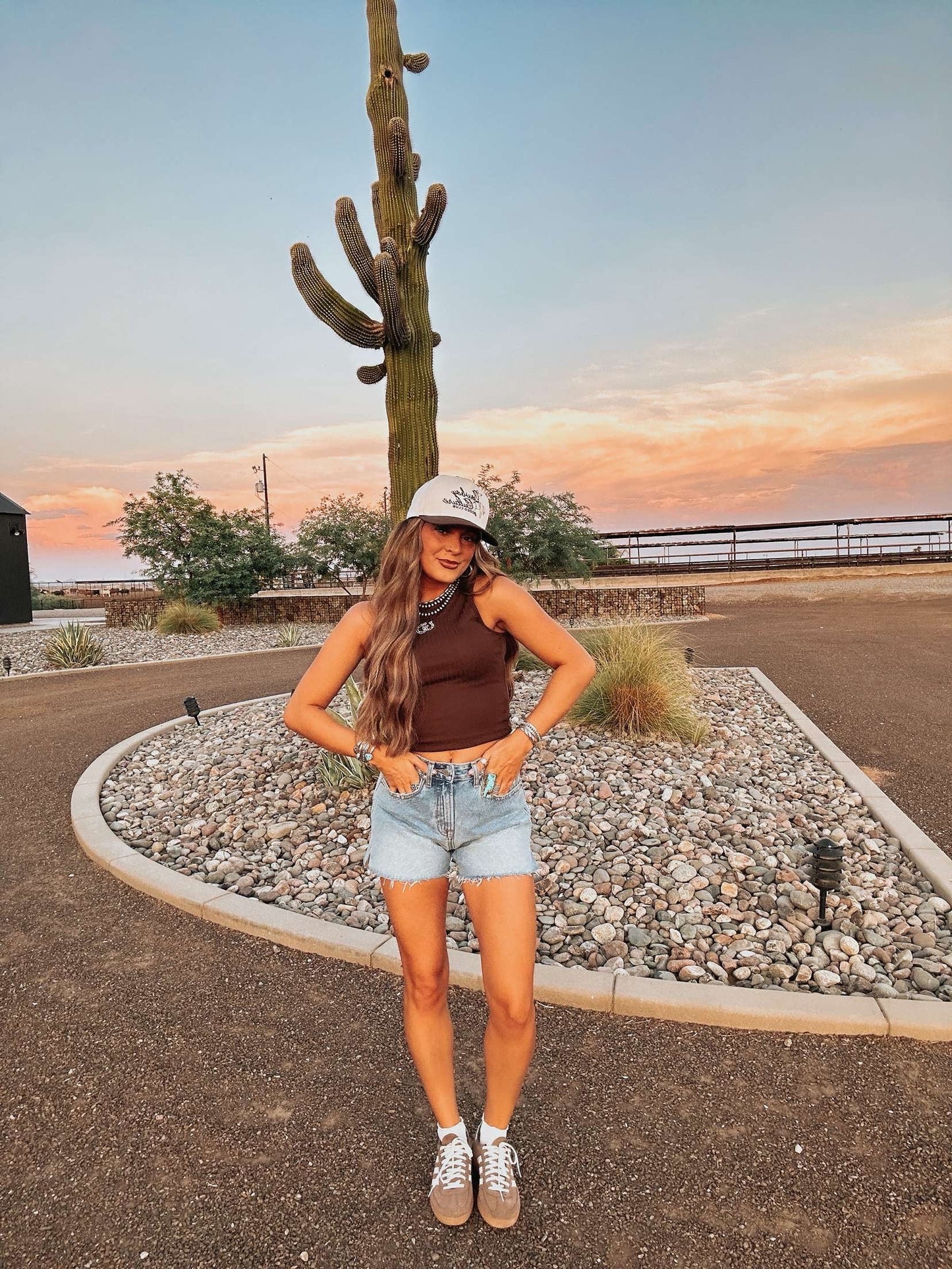 The Cinny Denim Shorts
