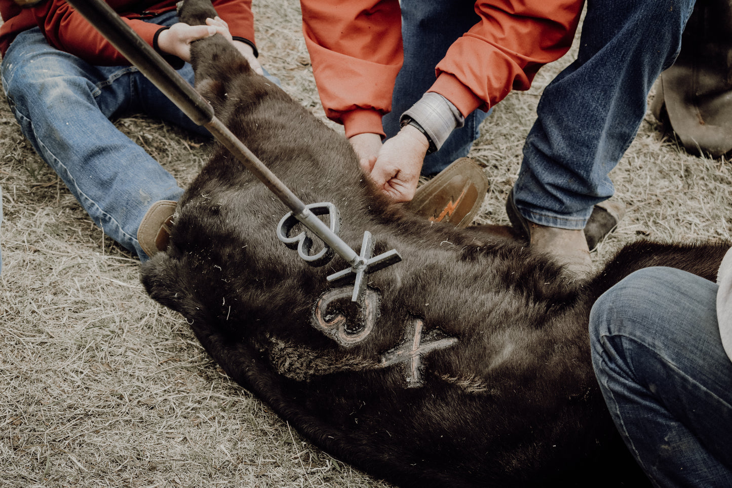 Livestock use Branding Iron