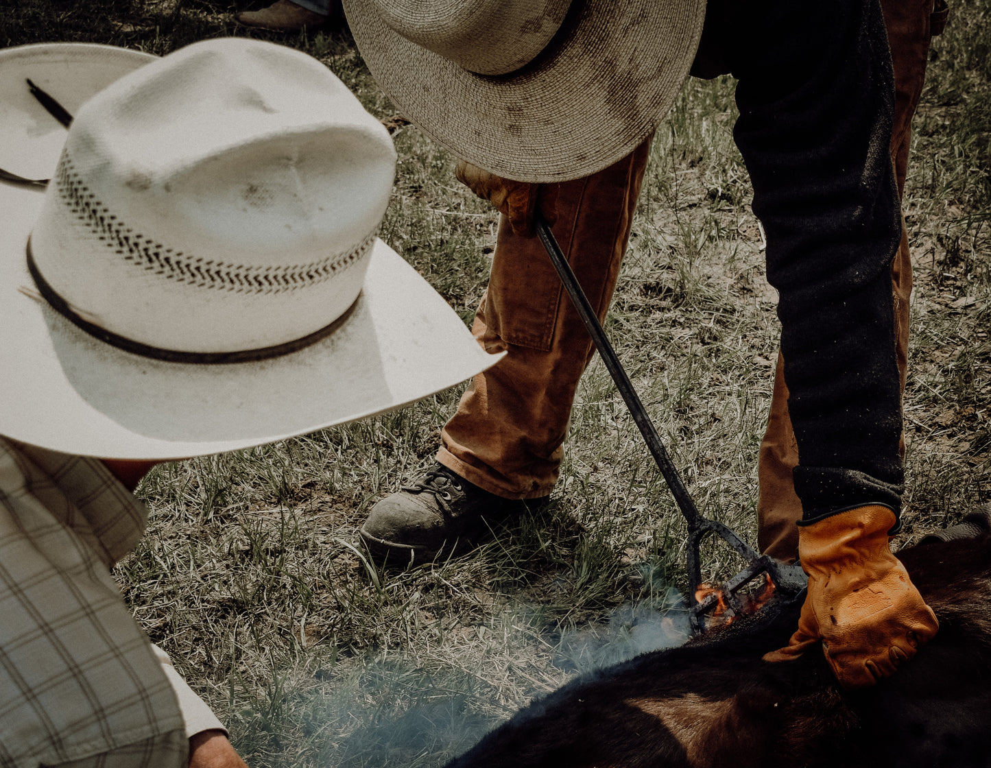 Livestock use Branding Iron