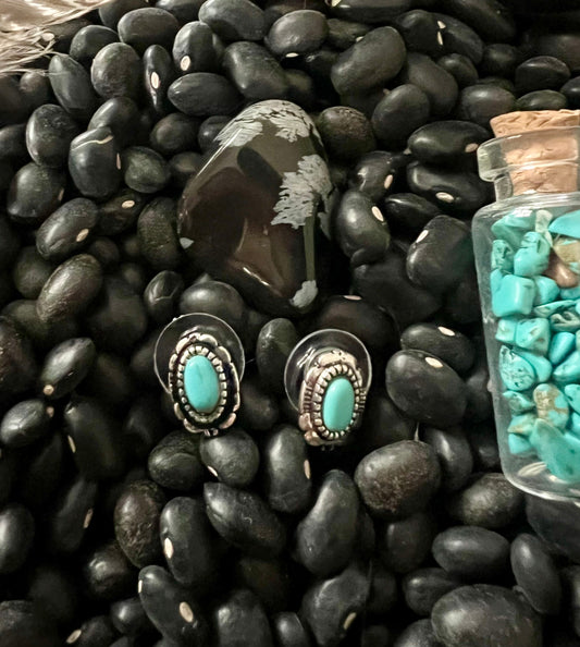 Oval Turquoise Earrings