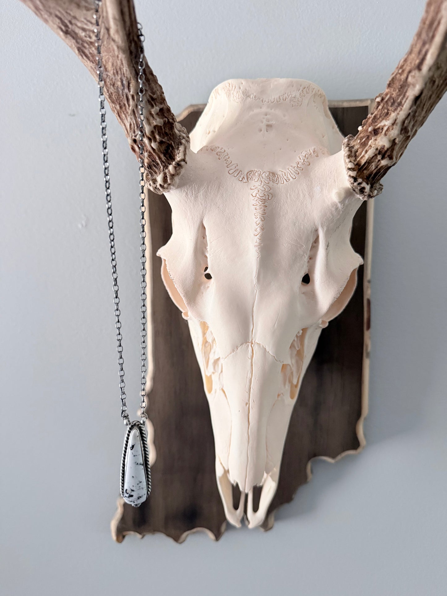 Navajo Made By Chassity Belone White Buffalo Necklace