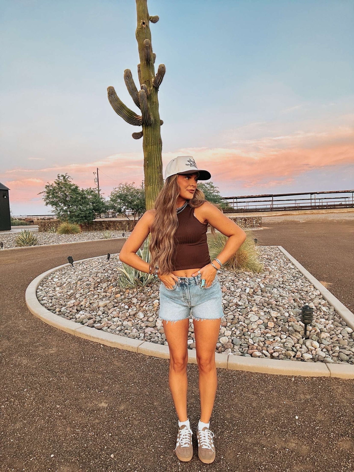The Cinny Denim Shorts