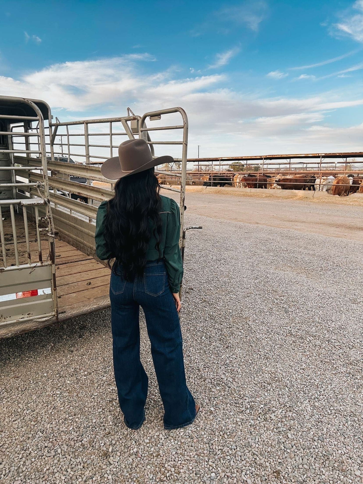 The Cheyenne Jeans