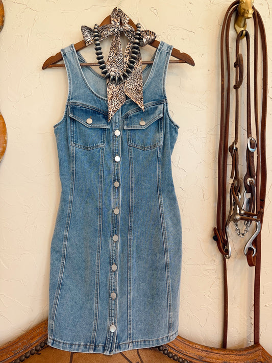 The Darian Denim Dress