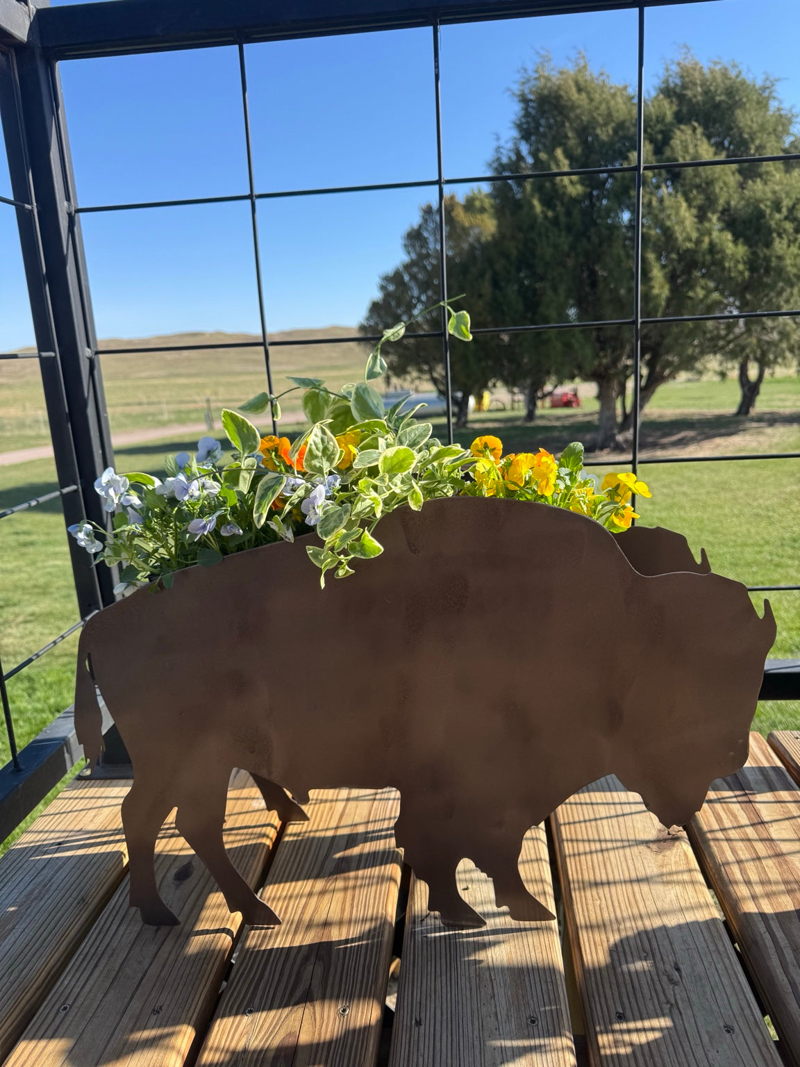 Ranchy Flower Planters- PRE ORDER