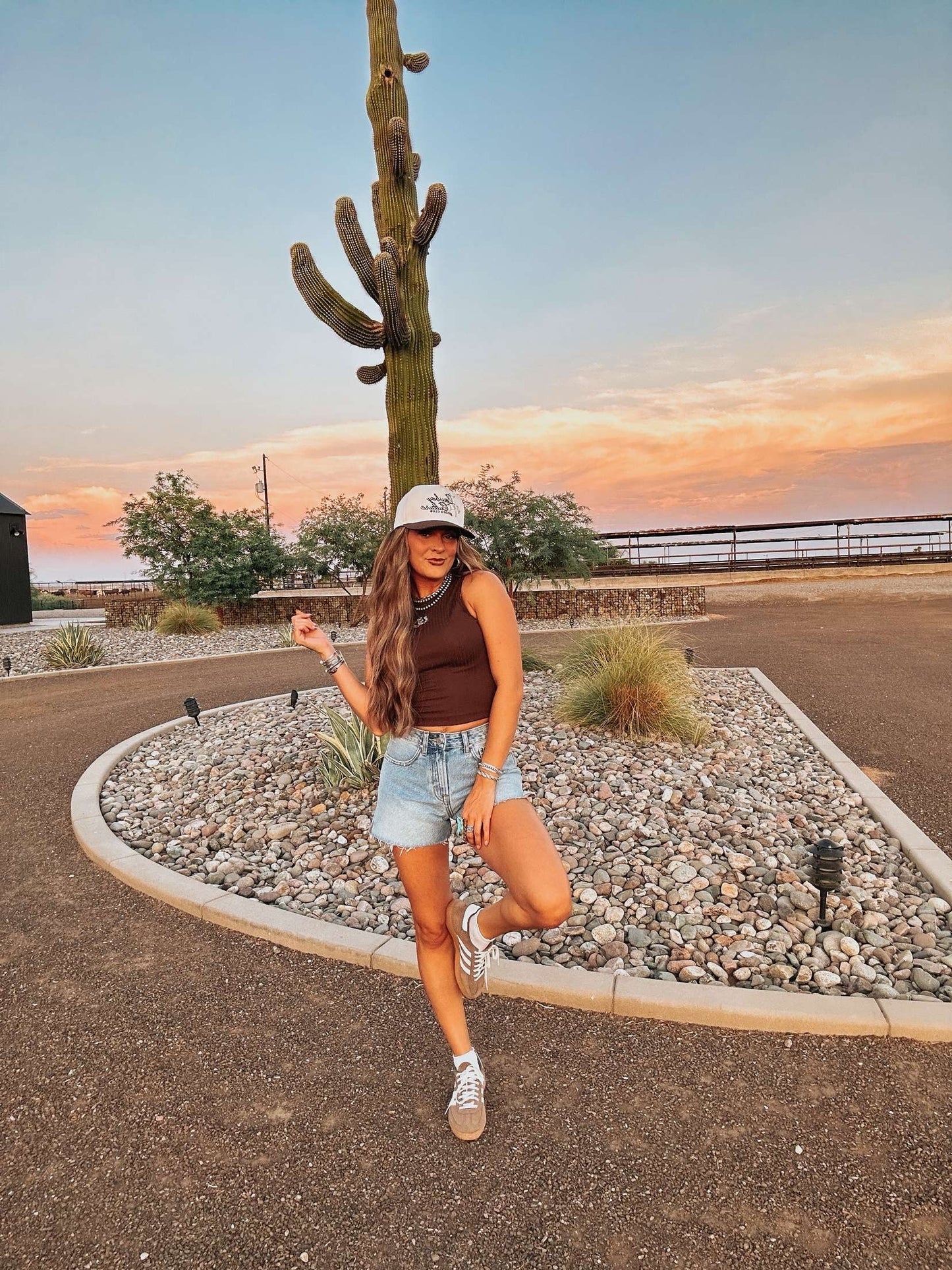 The Cinny Denim Shorts