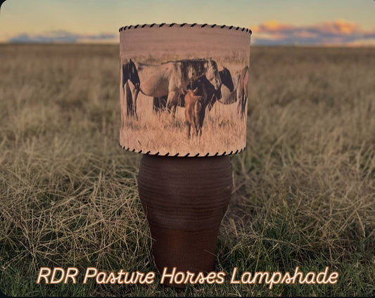 Lampshade Pasture Horses