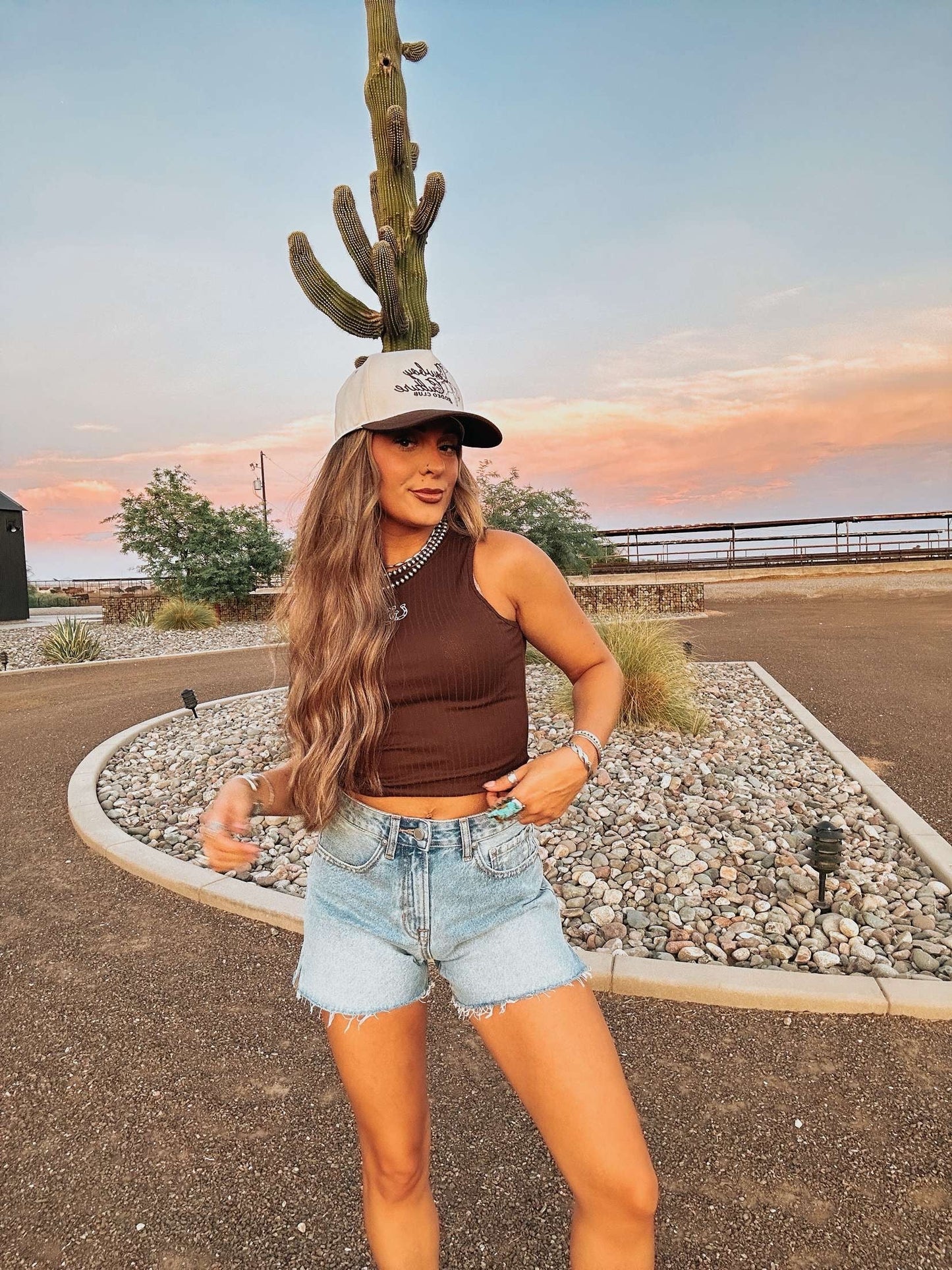 The Cinny Denim Shorts