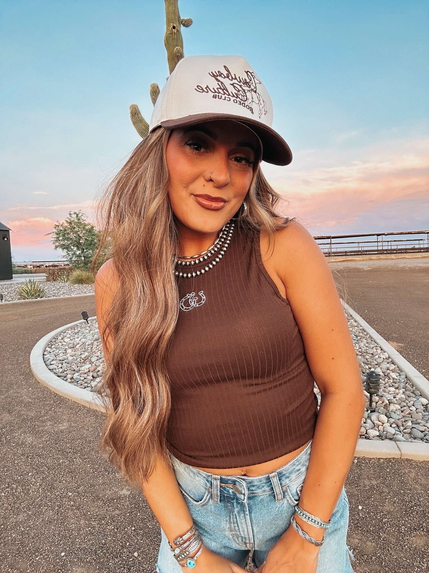 The Cinny Denim Shorts