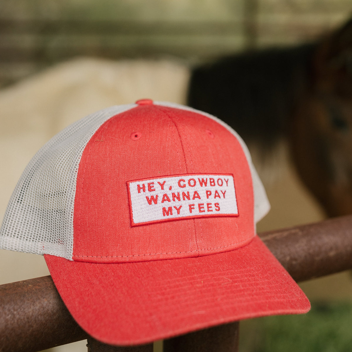 Hey Cowboy Hat