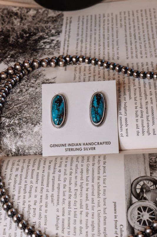 Ector Turquoise Earrings