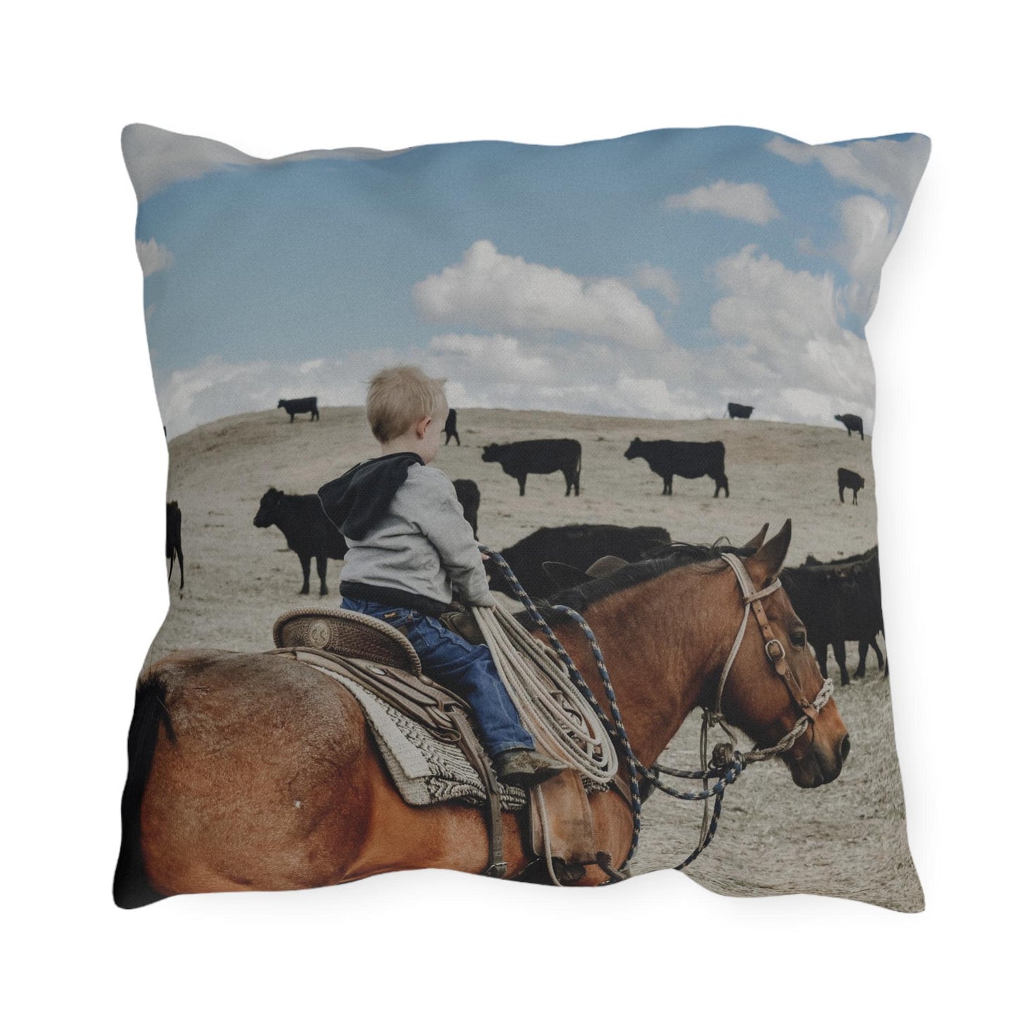Outdoor Pillows