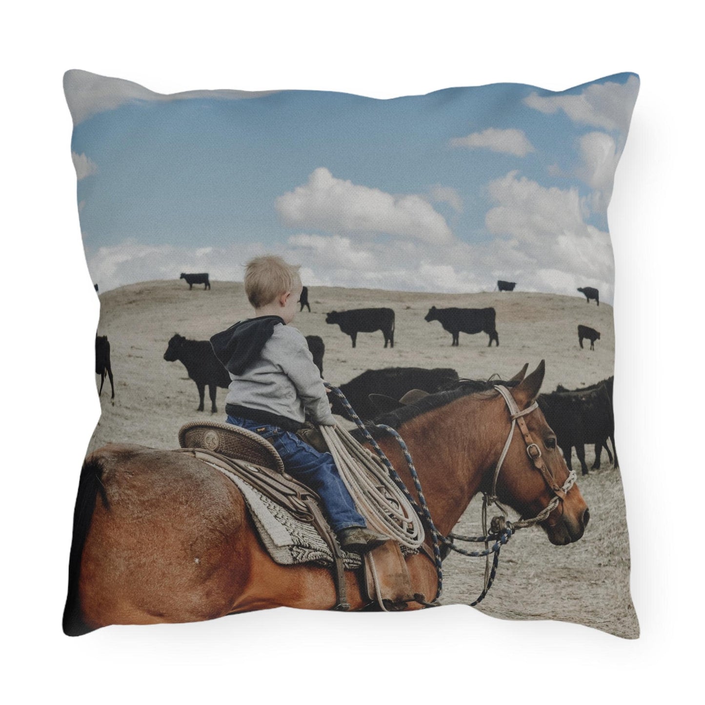 Outdoor Pillows