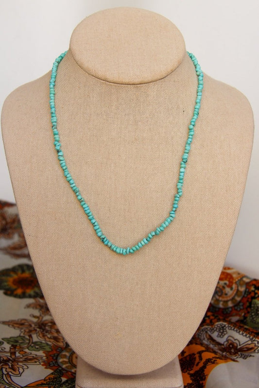 Jig Is Up Turquoise Necklace