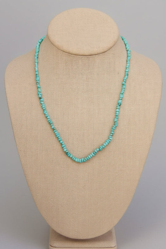 Jig Is Up Turquoise Necklace